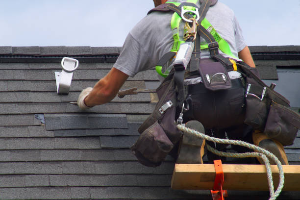 Best Metal Roofing Contractor  in Postville, IA