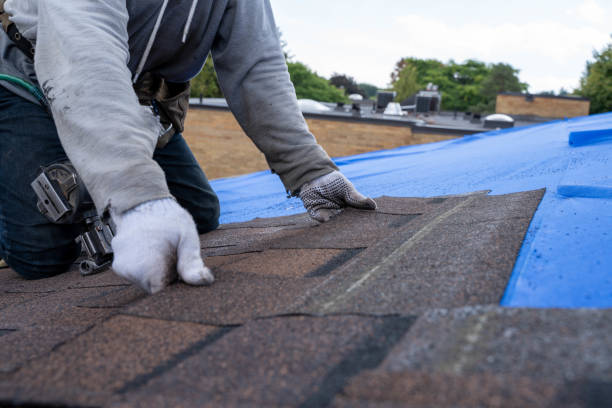 Best Residential Roofing Contractor  in Postville, IA