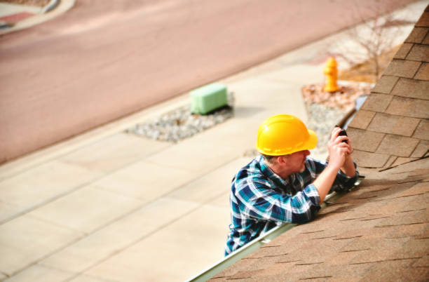 Best Roof Gutter Cleaning  in Postville, IA
