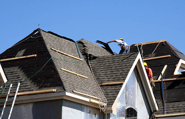 Best Roof Restoration Services  in Postville, IA