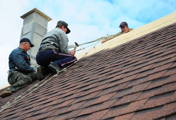 Best Commercial Roofing Services  in Postville, IA